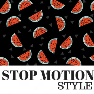 técnica audiovisual del Stop Motion | videos zinkfo 